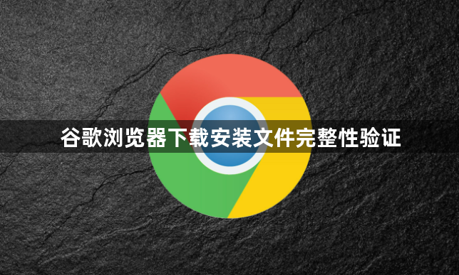 谷歌浏览器下载安装文件完整性验证1