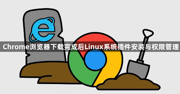 Chrome浏览器下载完成后Linux系统插件安装与权限管理1
