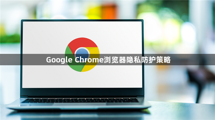 Google Chrome浏览器隐私防护策略1