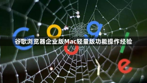 谷歌浏览器企业版Mac轻量版功能操作经验1