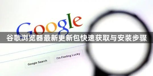 谷歌浏览器最新更新包快速获取与安装步骤1
