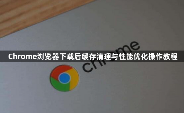 Chrome浏览器下载后缓存清理与性能优化操作教程1