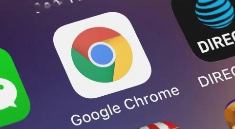 Chrome浏览器插件权限管理设置详解保障账户安全