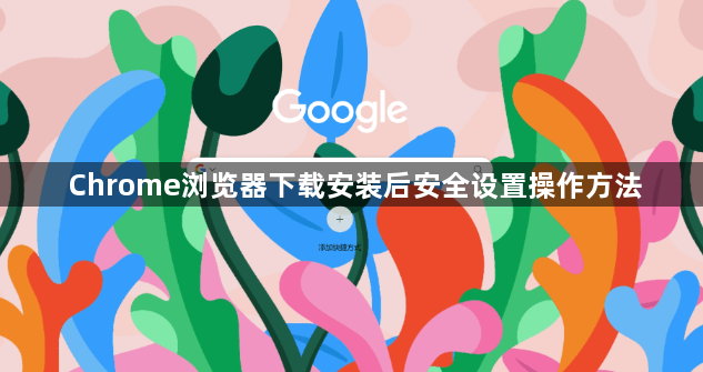 Chrome浏览器下载安装后安全设置操作方法1
