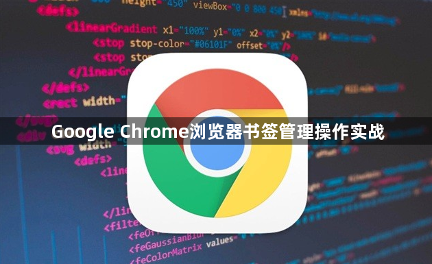 Google Chrome浏览器书签管理操作实战1